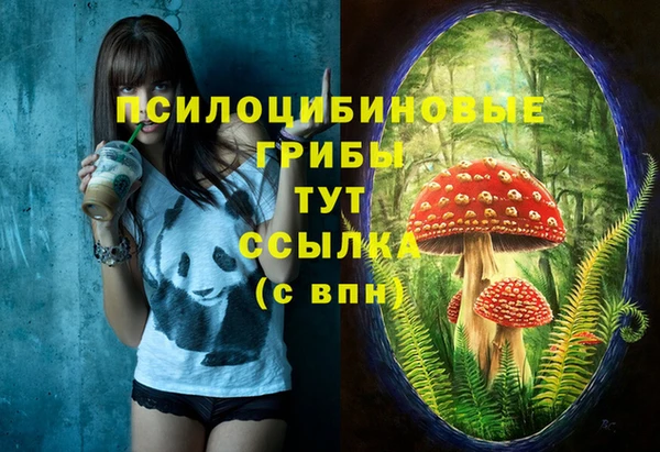 героин Карпинск