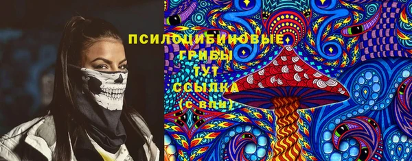 гидра Карталы