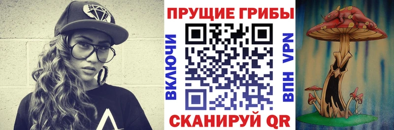 Купить закладки  Кущёвская  Галлюциногенные грибы мицелий 